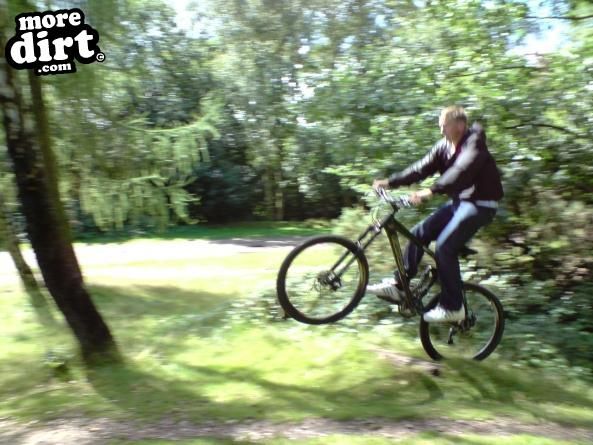 Careera - Banshee X 19"  2007