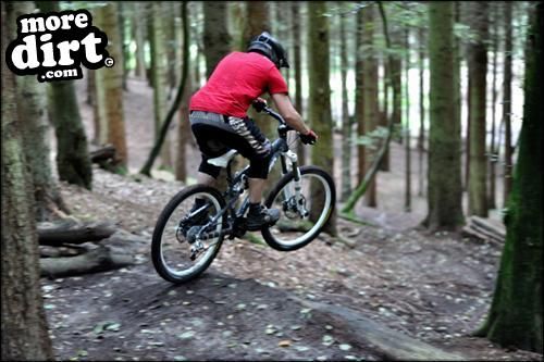 Transition - Bottlerocker