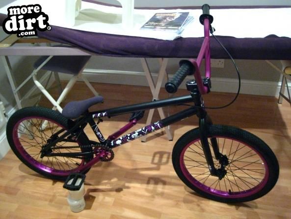 We the people - Versus