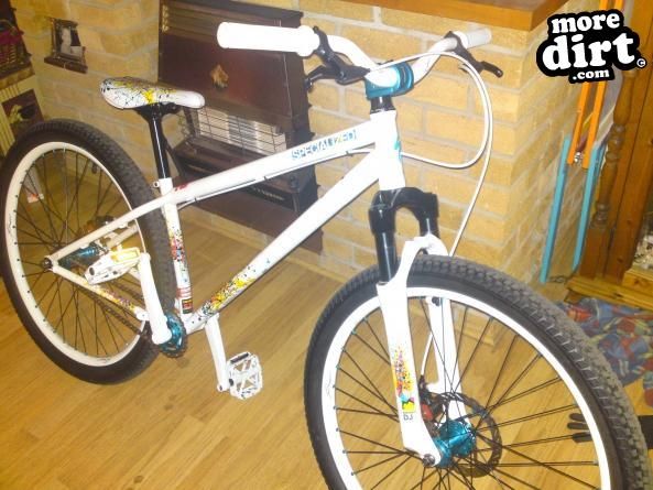 specilized - p1 2010