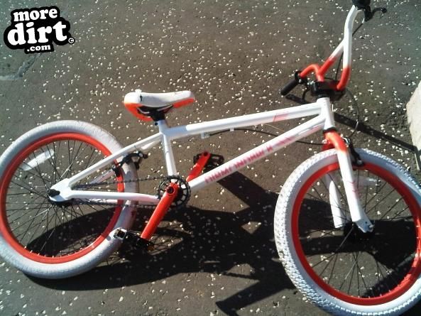 Diamond Back - Skin dog 2010