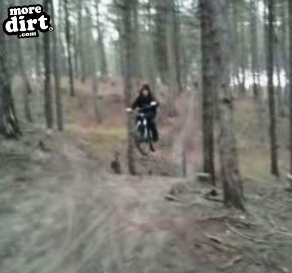 carrera  - banshee 08