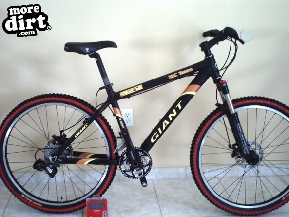 Giant - XTC Team