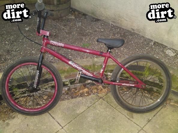 WE THE PEOPLE - BEYOND 2008