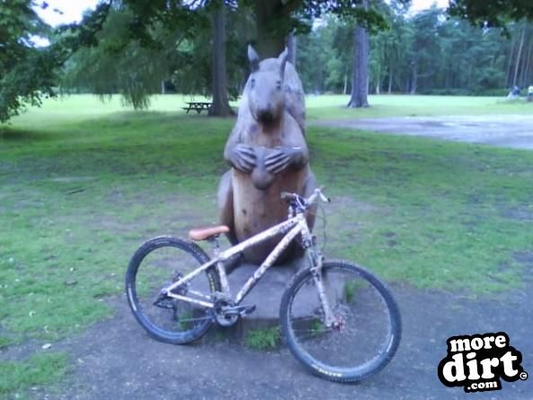 Specialized - P2 cromo