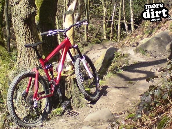 Carrera - Banshee XXX 09