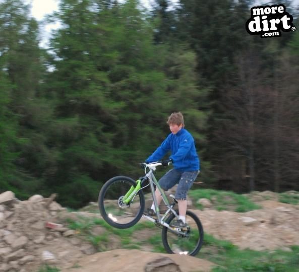 saracen - amplitude cr2