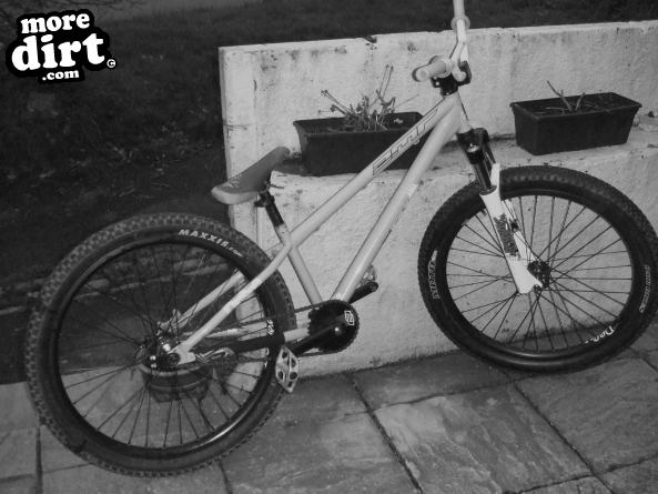 dmr  - drone reptoid