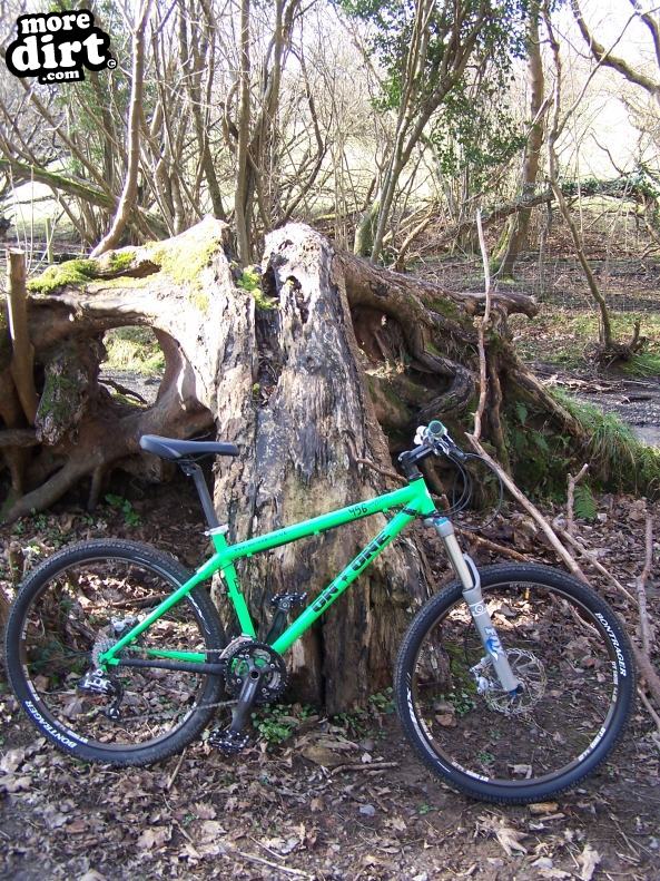 On-One - 456 Summer Season