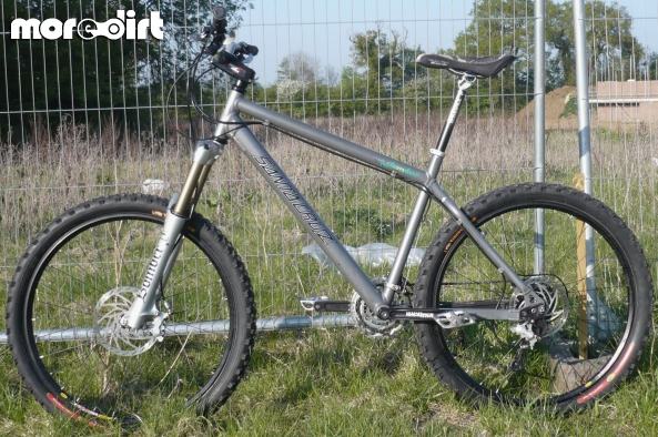 Santa Cruz - Chameleon