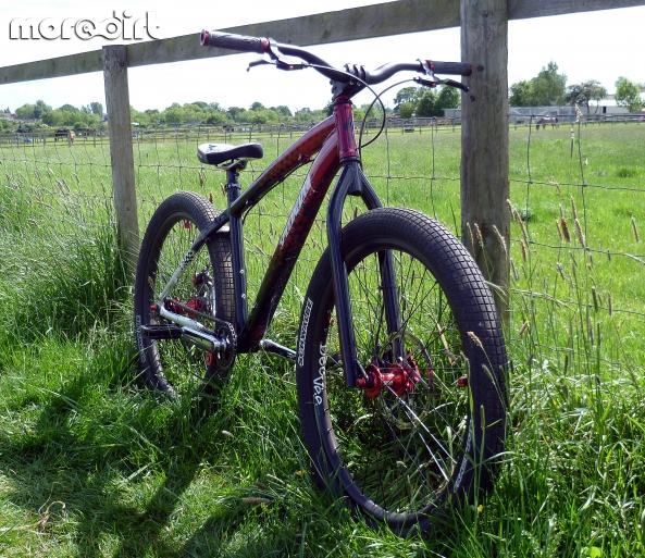 Specialized - custom