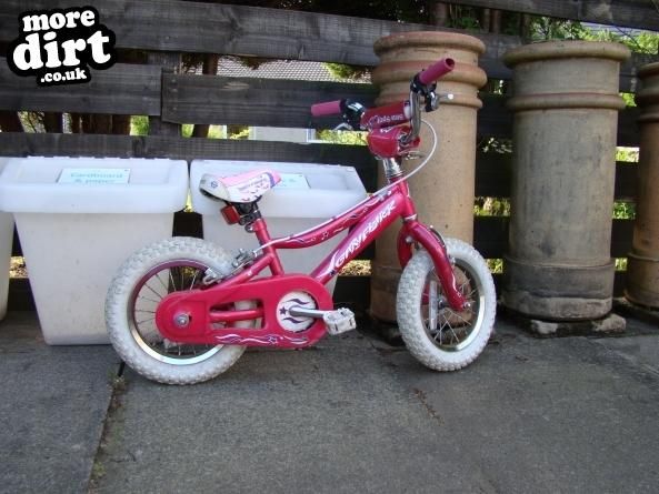 gary fisher - pimpin pink