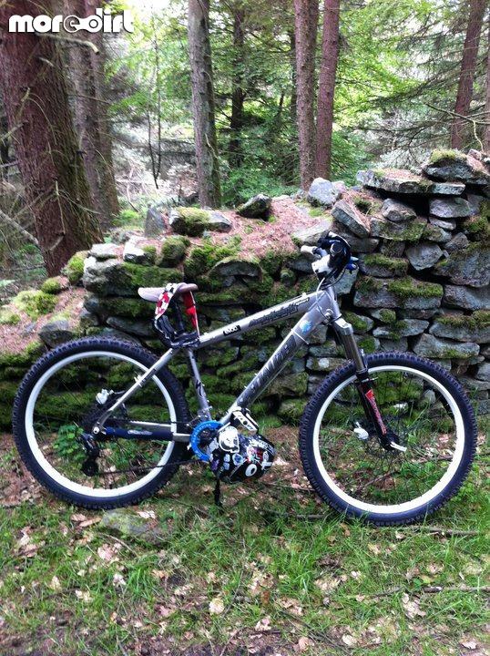 Specialized - Customized Hardrock Sport