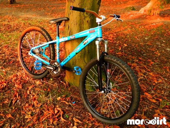 Dimondback - DB GROOVE