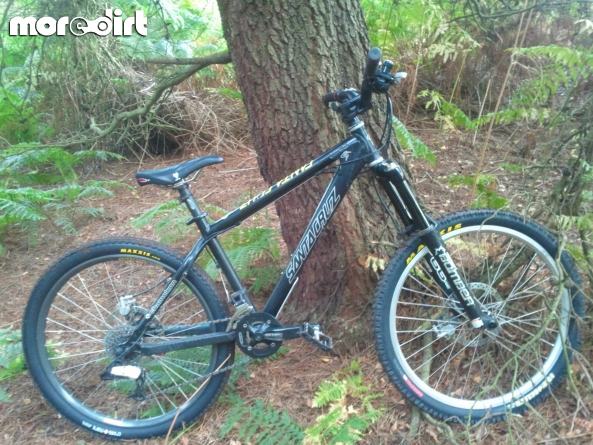 Santa Cruz - Chameleon