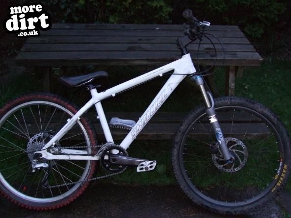 Santa Cruz - Chameleon