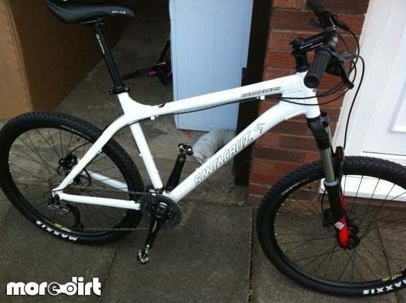 Santa Cruz - Chameleon