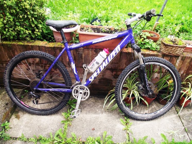 Specialized  - Rockhopper