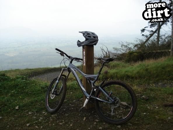 Specialized - Stumpjumper