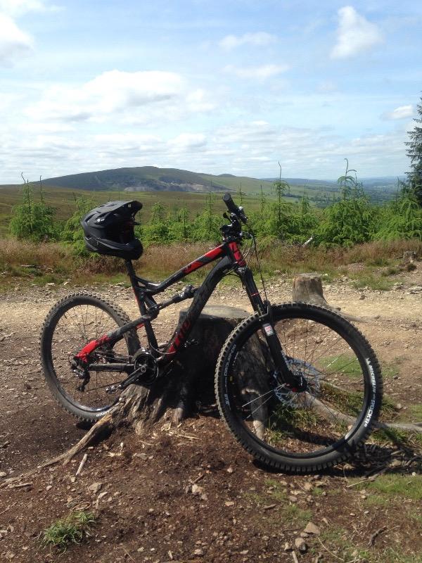 Lapierre - Spicy 527