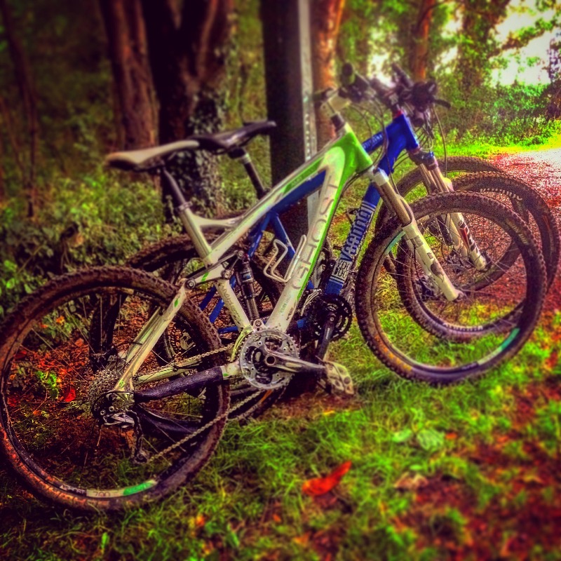 Ghost - Amr 5900 2011