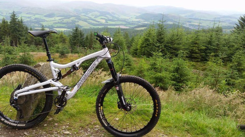 Santa cruz  - Nickel