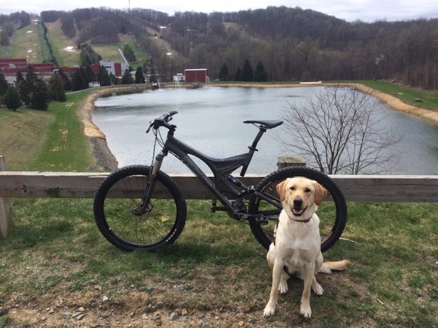 Specialized  - Stump jumper FSR elite