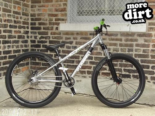 Eastern Warthog  - 08