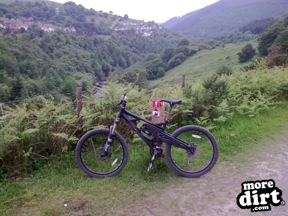 Marin  - quake AL7 2006 