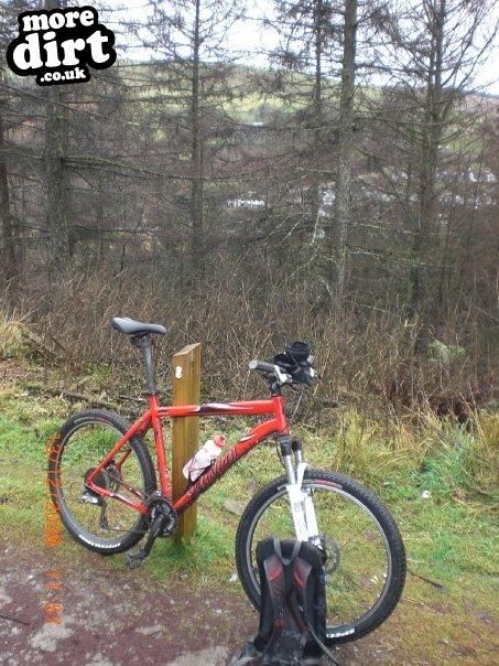 Specialized - Rockhopper