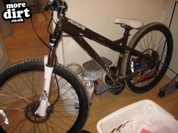 specialized  - p2 08