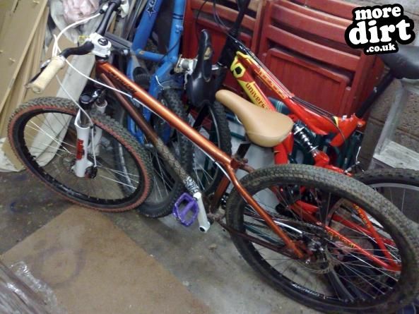 Specialized - P1 (2009)