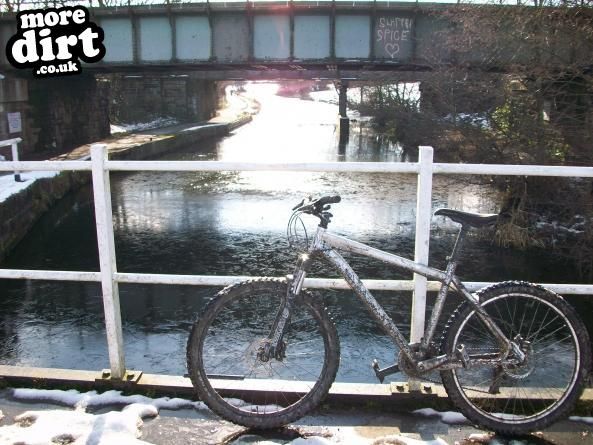 Specialized  - Rockhopper 08