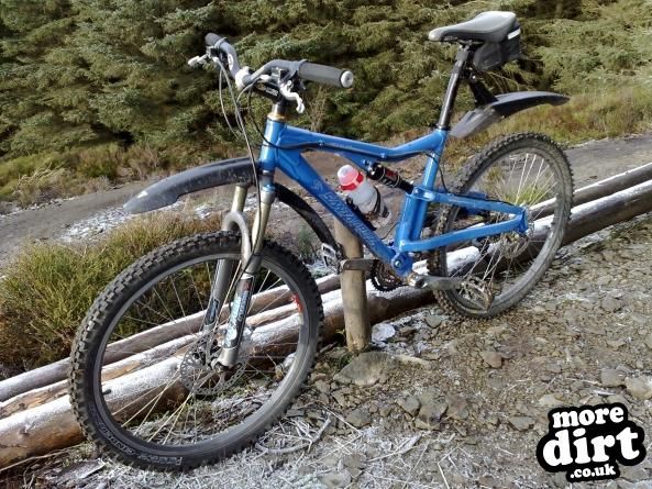 Santa Cruz  - Heckler