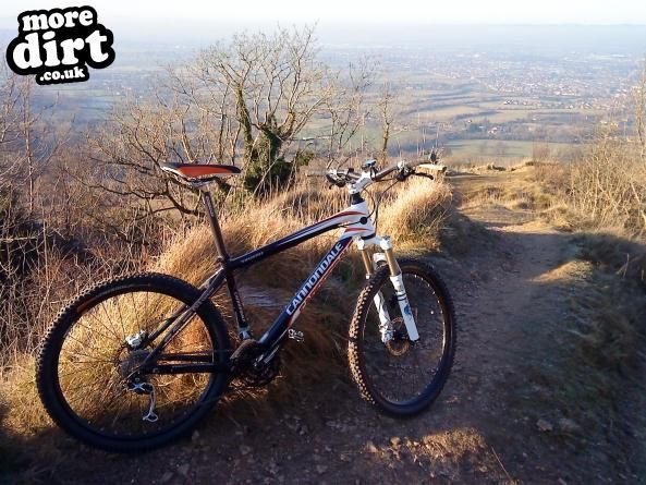 Cannondale  - Taurine