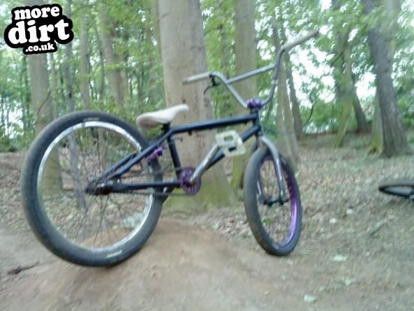 Wethepeople recon - 2009