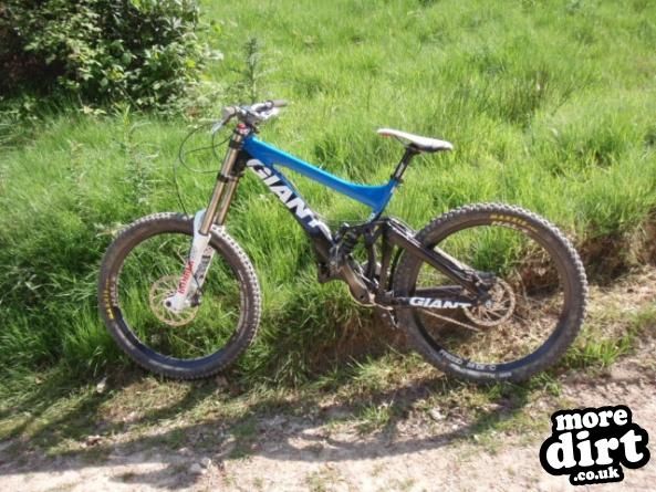 giant - glory dh