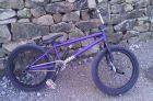 Wethepeople crysis