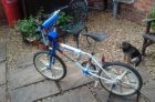 Raleigh Burner Team Aero Pro 1984