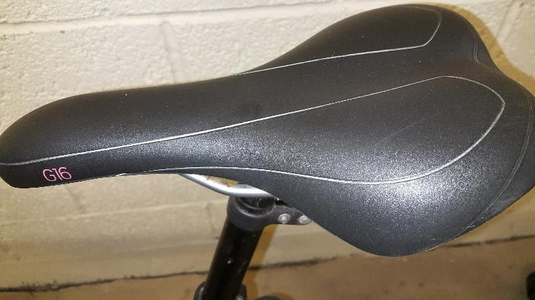 ridgeback storm review