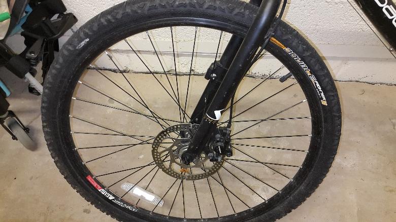 ridgeback storm 2020 review