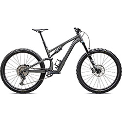 Specialized Stumpjumper 15 Comp Alloy 2025