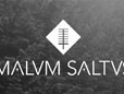 Malvm Saltvs