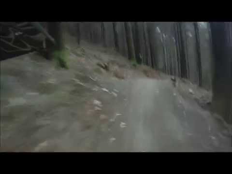 Gawton Proper Job DH Devon