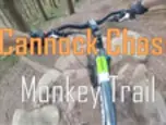 Cannock Chase - Monkey trail