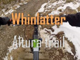 Whinlatter - Altura trail