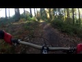 Haldon Forest - Red Trail Descent