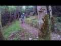 Bikepark Ireland - Blue Trail