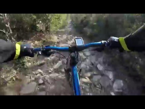 Pppppppiiiiiiiii......Que coça.....