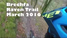 Brechfa Raven Trail -  March 2016